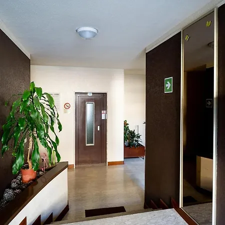 Il Piccolo Nido Di Bacci Merello Apartment Sanremo